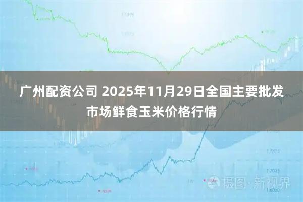 广州配资公司 2025年11月29日全国主要批发市场鲜食玉米价格行情